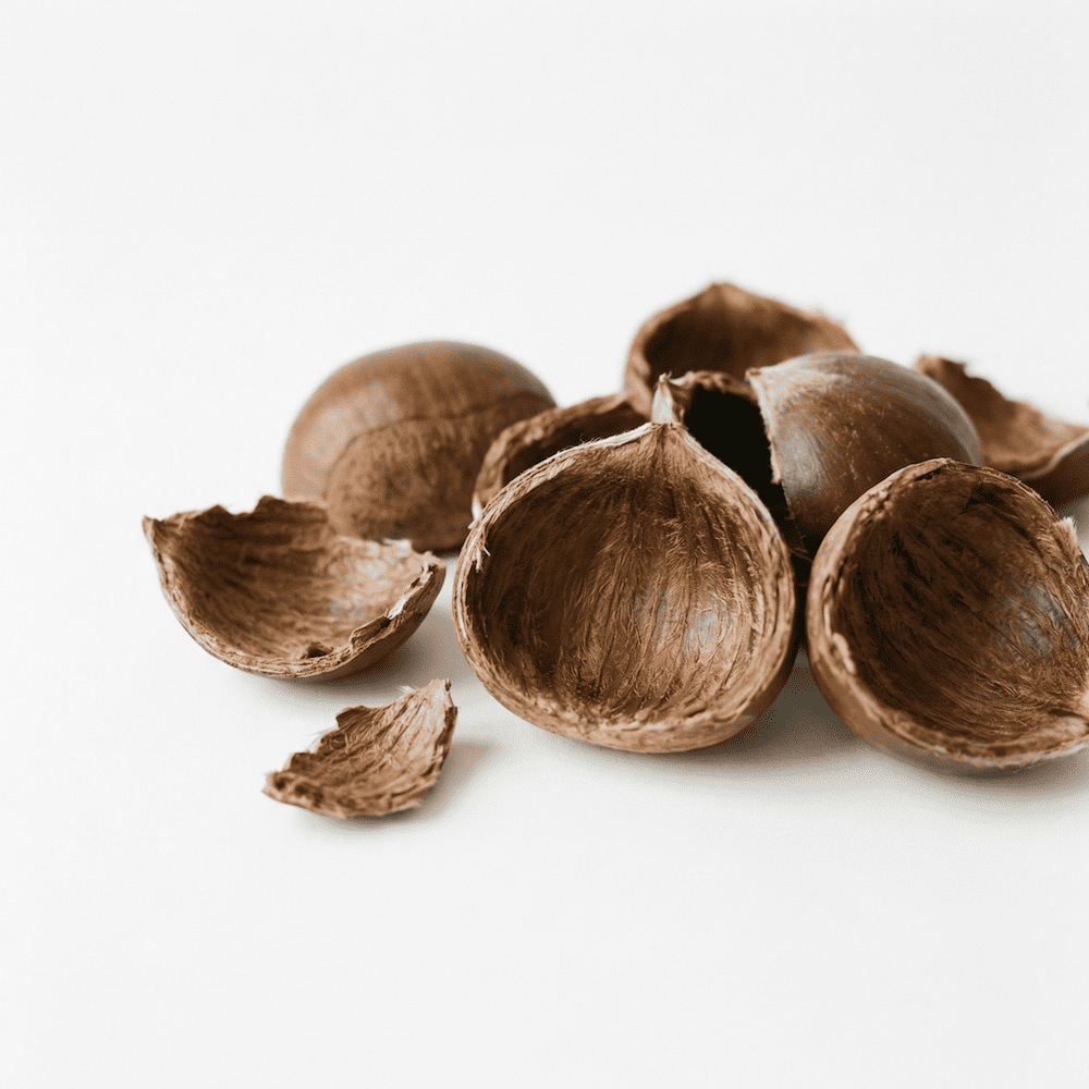 茨城県産の和栗の皮