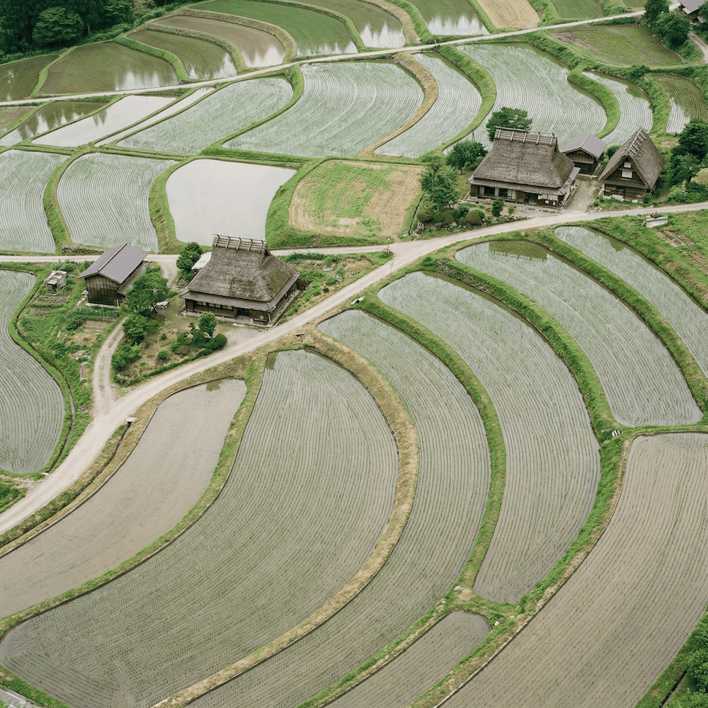 国産原料・日本の農業風景